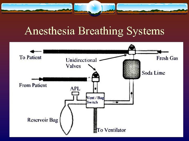 Anesthesia Breathing Systems 