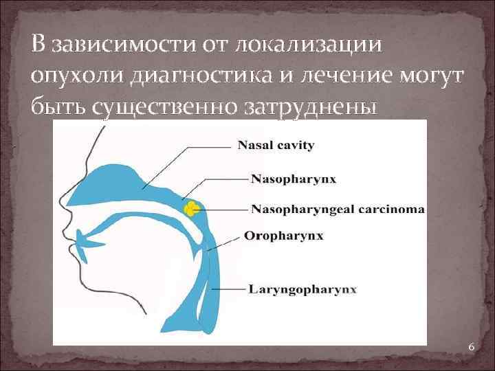 В зависимости от локализации опухоли диагностика и лечение могут быть существенно затруднены 6 