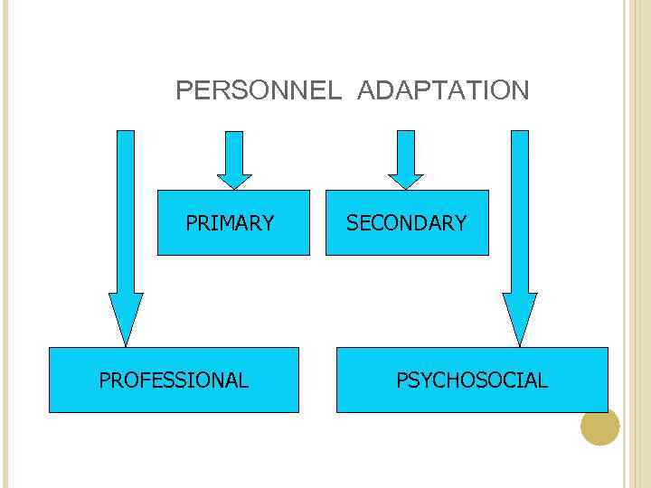 PERSONNEL ADAPTATION PRIMARY PROFESSIONAL SECONDARY PSYCHOSOCIAL 