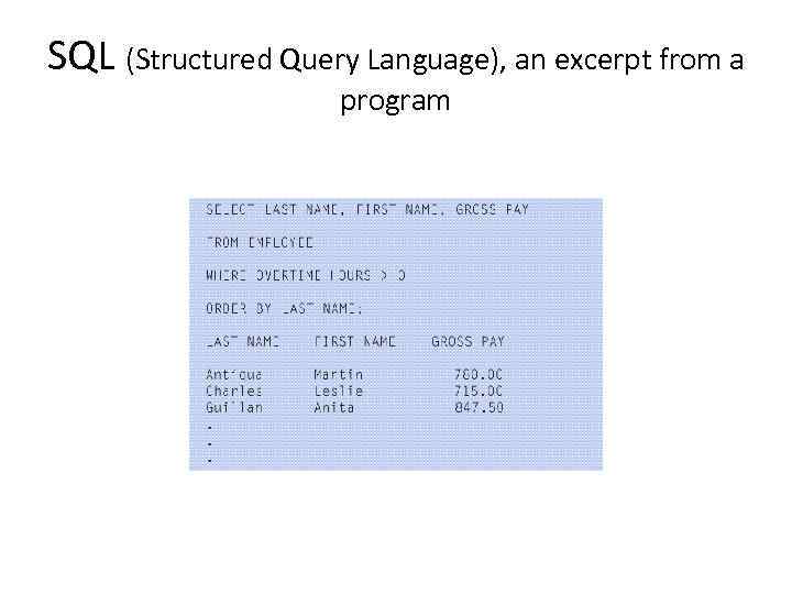 SQL (Structured Query Language), an excerpt from a program 
