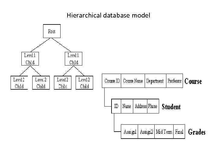 Hierarchical database model 