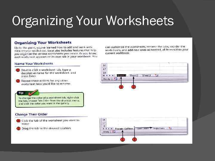 Organizing Your Worksheets 