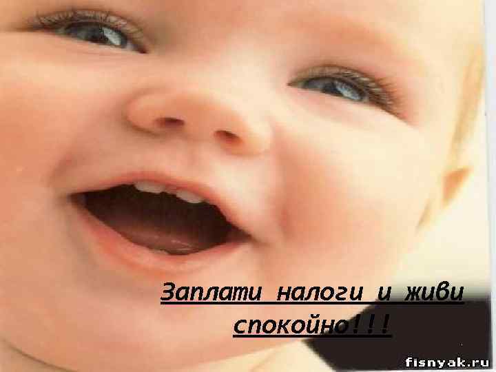 Заплати налоги и живи спокойно!!! . 