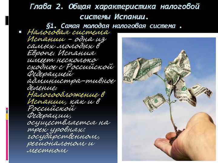 Глава 2. Общая характеристика налоговой системы Испании. § 1. Самая молодая налоговая система. Налоговая