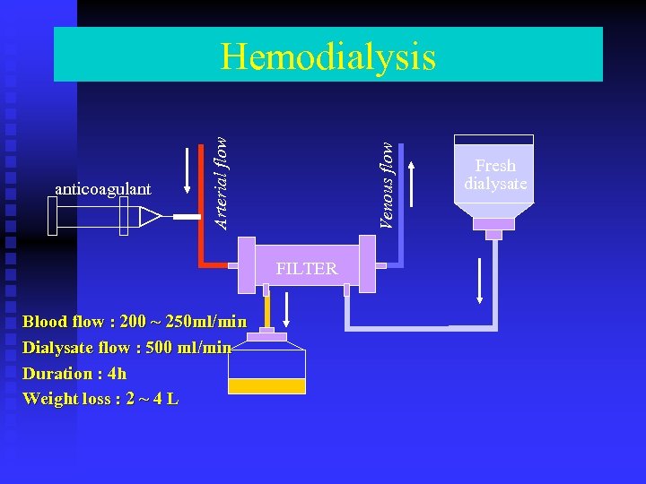 Venous flow anticoagulant Arterial flow Hemodialysis FILTER Blood flow : 200 ~ 250 ml/min