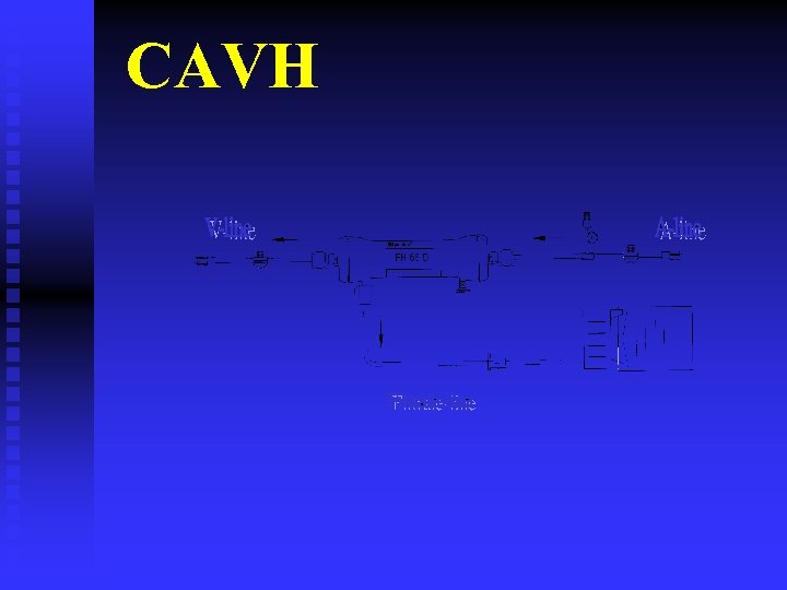 CAVH 