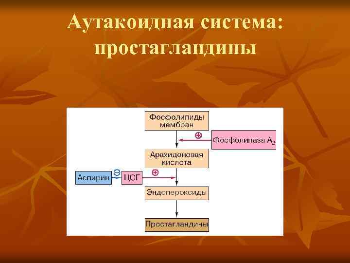 Аутакоидная система: простагландины 
