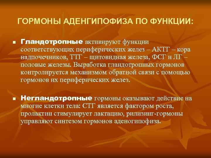 ГОРМОНЫ АДЕНГИПОФИЗА ПО ФУНКЦИИ: n n Гландотропные активируют функции соответствующих периферических желез – АКТГ