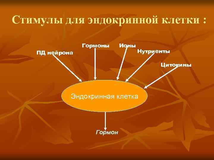 Стимулы для эндокринной клетки : ПД нейрона Гормоны Ионы Нутриенты Цитокины Эндокринная клетка Гормон
