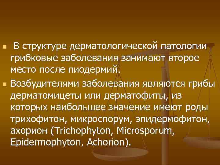 n n В структуре дерматологической патологии грибковые заболевания занимают второе место после пиодермий. Возбудителями