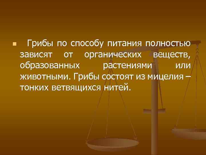 n Грибы по способу питания полностью зависят от органических веществ, образованных растениями или животными.