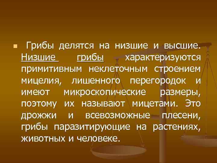 n Грибы делятся на низшие и высшие. Низшие грибы характеризуются примитивным неклеточным строением мицелия,