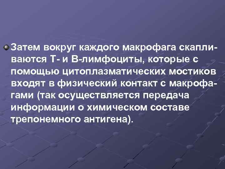 Затем вокруг каждого макрофага скапливаются T- и B-лимфоциты, которые с помощью цитоплазматических мостиков входят