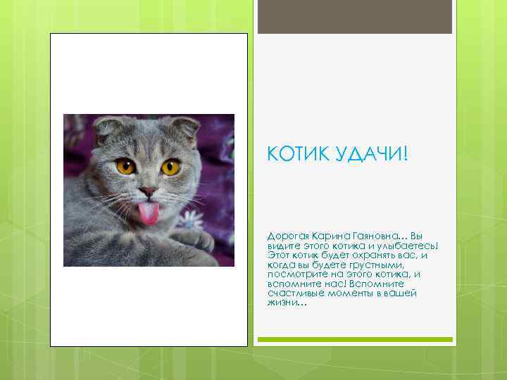 КОТИК УДАЧИ! Дорогая Карина Гаяновна… Вы видите этого котика и улыбаетесь! Этот котик будет
