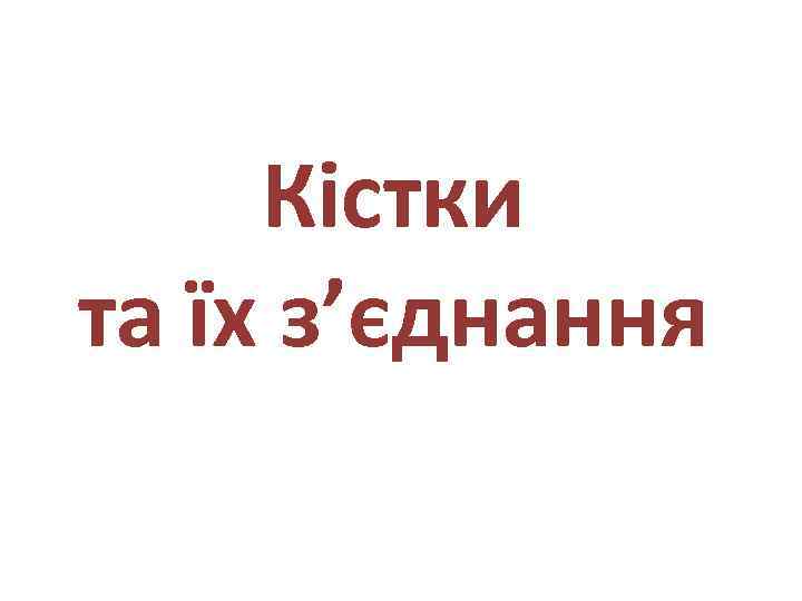 Кістки та їх з’єднання 