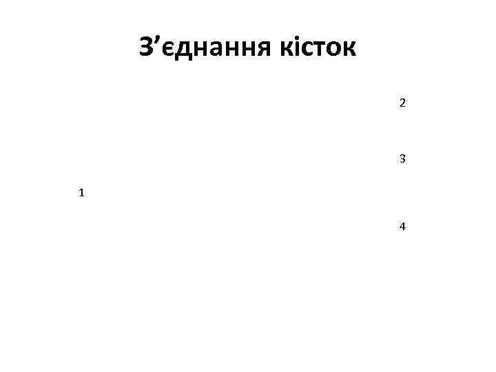 З’єднання кісток 2 3 1 4 