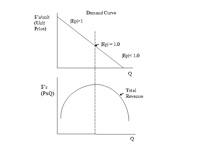 $’s/unit (Unit Price) Demand Curve |Ep|>1 |Ep| = 1. 0 |Ep|< 1. 0 Q