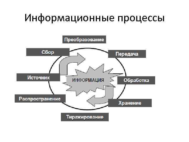 Информационные процессы 
