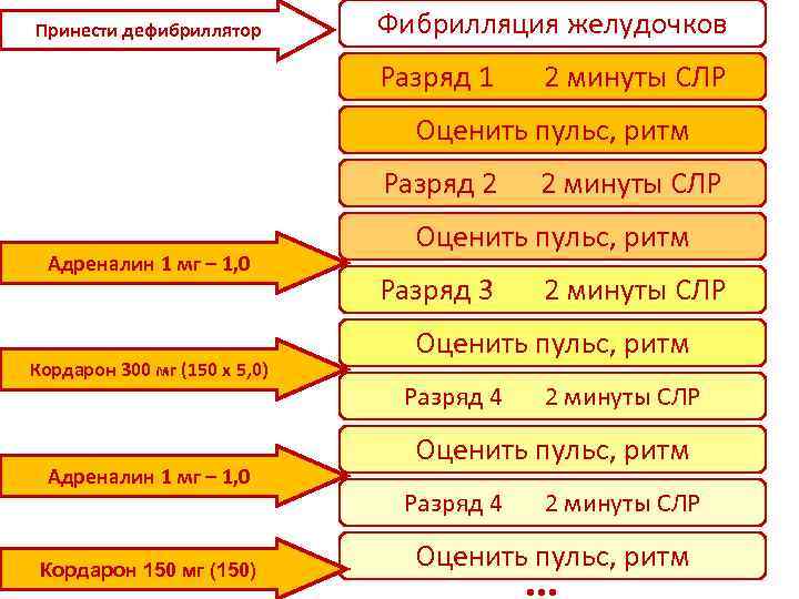 Кордарон И Пульс