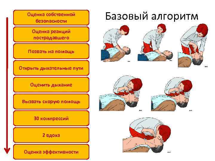 Оценка собственной безопасности Оценка реакций пострадавшего Позвать на помощь Открыть дыхательные пути Оценить дыхание