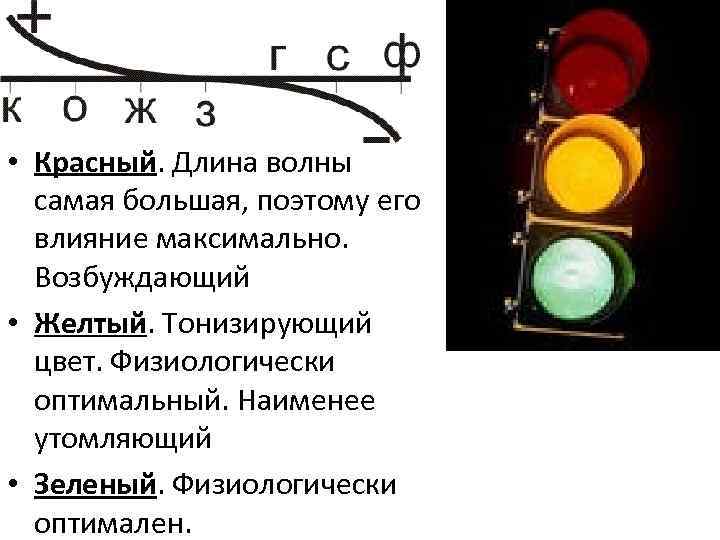 • Красный. Длина волны самая большая, поэтому его влияние максимально. Возбуждающий • Желтый.