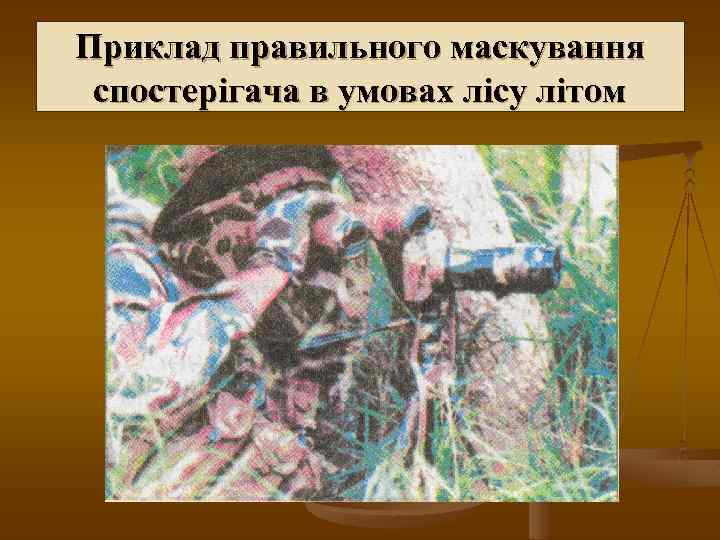 Приклад правильного маскування спостерігача в умовах лісу літом 