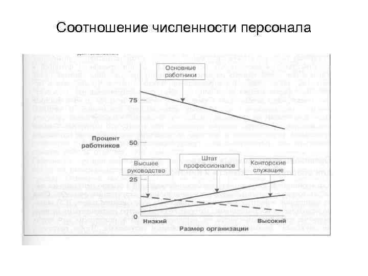 Соотношение численности персонала 