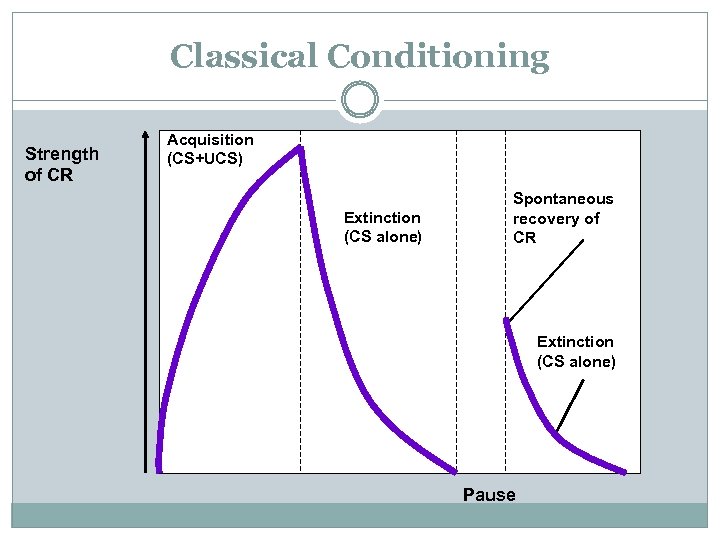 Classical Conditioning Strength of CR Acquisition (CS+UCS) Extinction (CS alone) Spontaneous recovery of CR