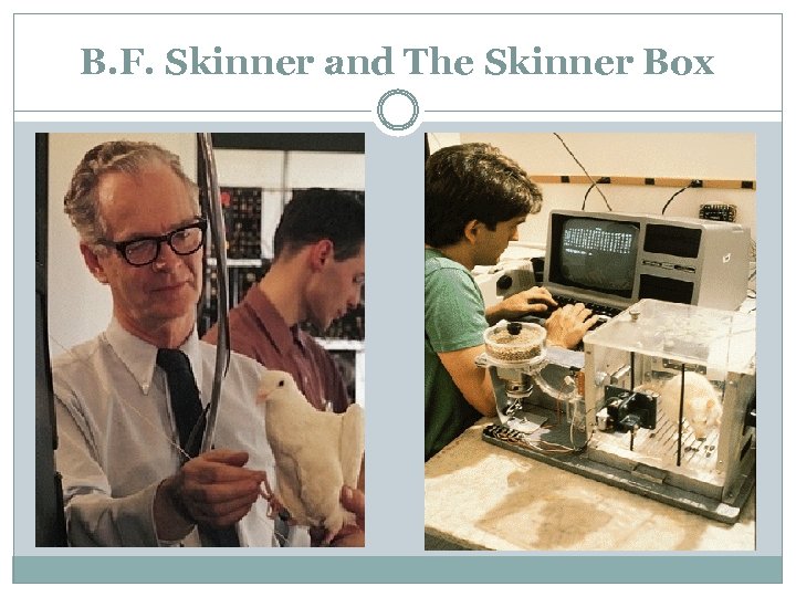 B. F. Skinner and The Skinner Box 