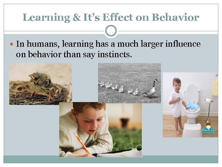 Learning & It’s Effect on Behavior In humans, learning has a much larger influence