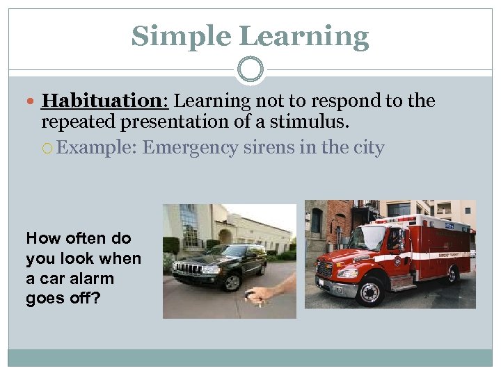 Simple Learning Habituation: Learning not to respond to the repeated presentation of a stimulus.