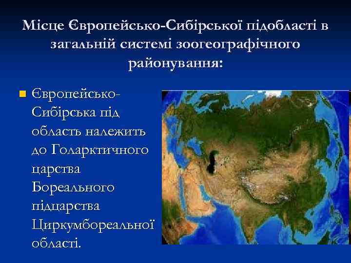 Місце Європейсько-Сибірської підобласті в загальній системі зоогеографічного районування: n Європейсько. Сибірська під область належить