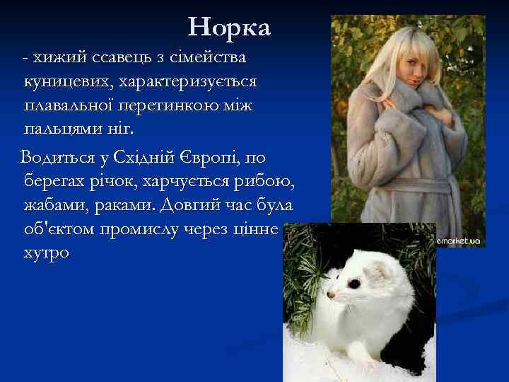 Норка - хижий ссавець з сімейства куницевих, характеризується плавальної перетинкою між пальцями ніг. Водиться