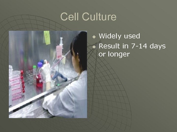 Cell Culture u u Widely used Result in 7 -14 days or longer 