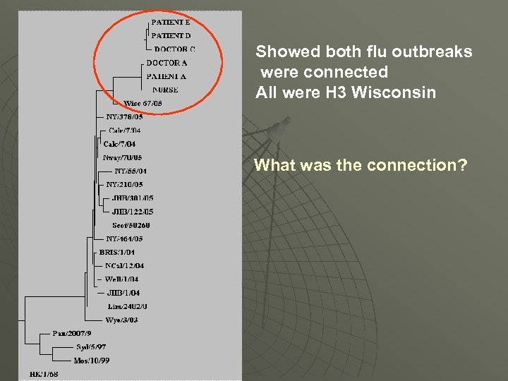 Showed both flu outbreaks were connected All were H 3 Wisconsin What was the