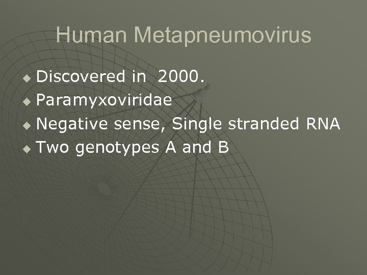 Human Metapneumovirus Discovered in 2000. u Paramyxoviridae u Negative sense, Single stranded RNA u
