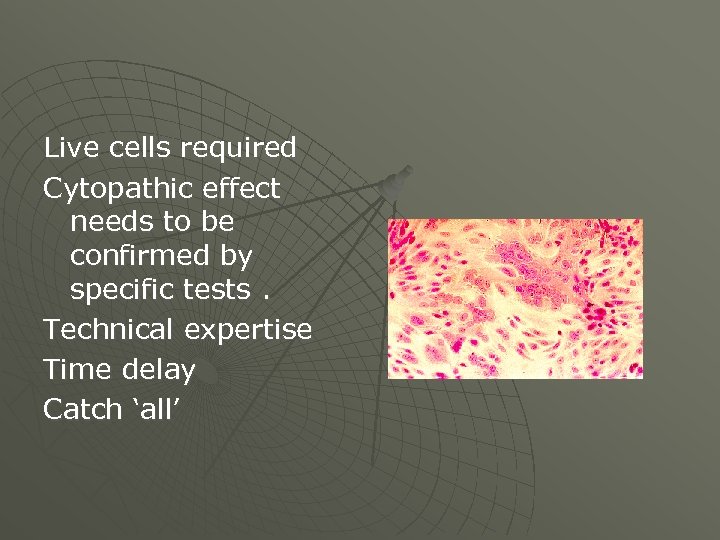 Live cells required Cytopathic effect needs to be confirmed by specific tests. Technical expertise