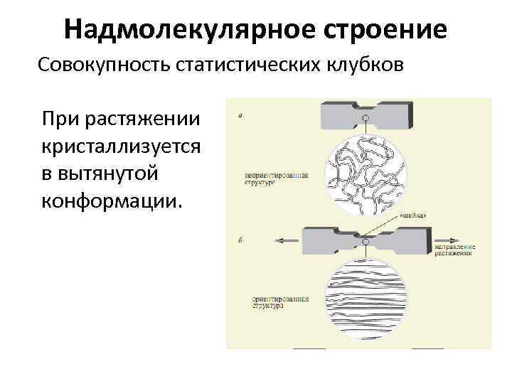 Надмолекулярное строение Совокупность статистических клубков При растяжении кристаллизуется в вытянутой конформации. 