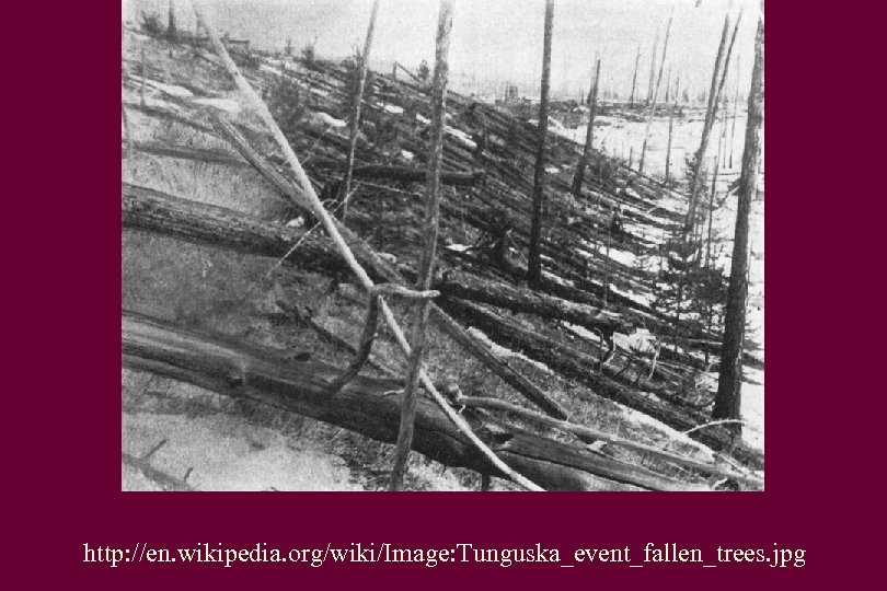 http: //en. wikipedia. org/wiki/Image: Tunguska_event_fallen_trees. jpg 