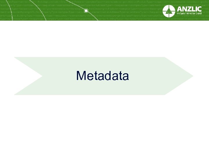 Metadata 