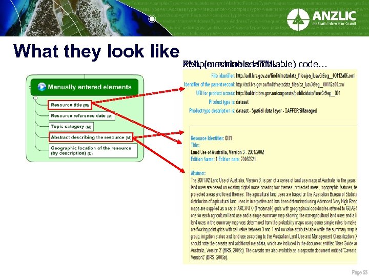 What they look like People readable HTML… XML (machine search-able) code… 