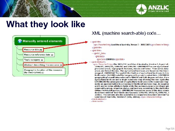 What they look like XML (machine search-able) code… 