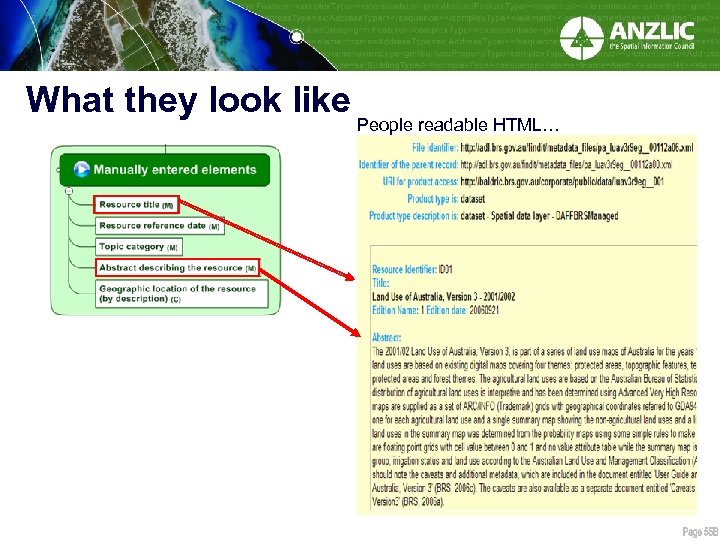 What they look like People readable HTML… 