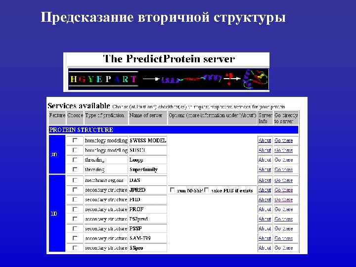 Предсказание вторичной структуры 