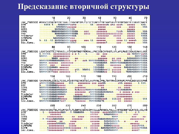 Предсказание вторичной структуры 