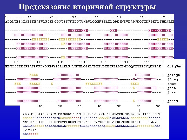 Предсказание вторичной структуры 