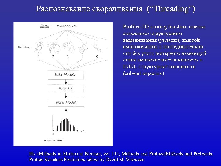 Распознавание сворачивания (“Threading”) Profiles-3 D scoring function: оценка локального структурного выравнивания (укладки) каждой аминокислоты