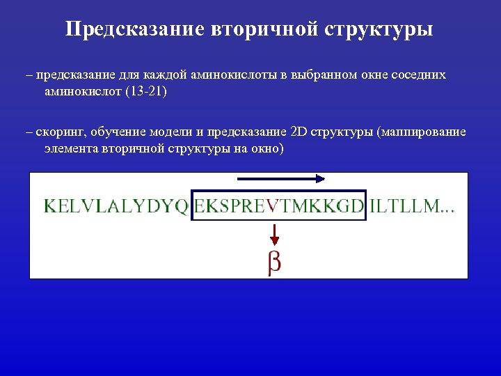 Предсказание вторичной структуры – предсказание для каждой аминокислоты в выбранном окне соседних аминокислот (13