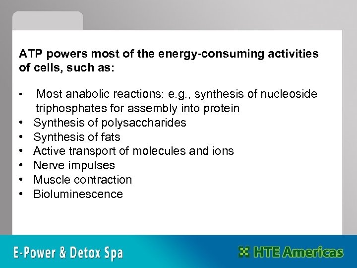 ATP powers most of the energy-consuming activities of cells, such as: • • Most