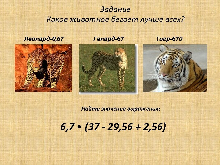 Задание Какое животное бегает лучше всех? Леопард-0, 67 Гепард-67 Тигр-670 Найти значение выражения: 6,